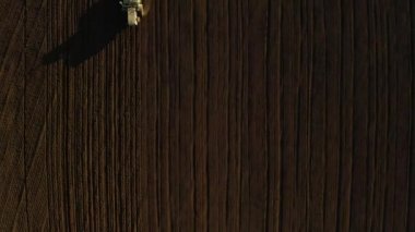 Baharda tarlada çalışan ve tarlayı süren hasatçı.