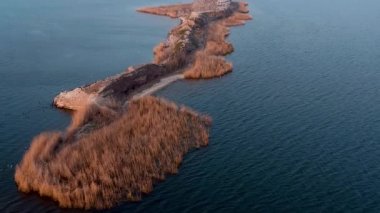 Adanın altında sadece kuşlarla uçmak. Kuş adası. Adanın altında uçan kuşların havadan görünüşü.