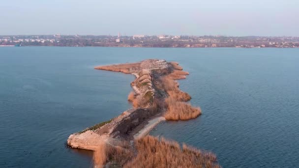 Vuelo Bajo Isla Con Solo Aves Isla Bird Vista Aérea — Vídeo de stock