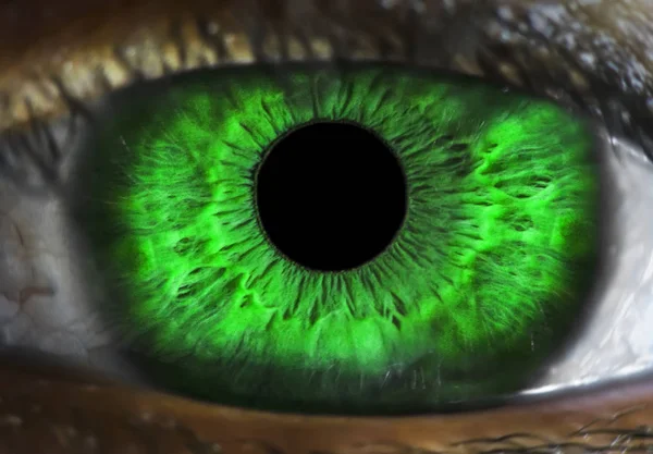 human green eye macro shot