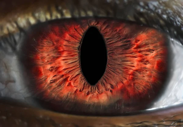 Человеческий глазной макро выстрел, модифицированный, чтобы выглядеть как глаз вампира — стоковое фото