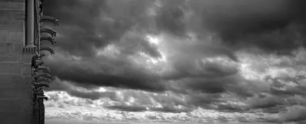 Panorama blanco y negro con gárgolas en la catedral de Notre Dame contra el cielo nublado dramático. París, Francia —  Fotos de Stock