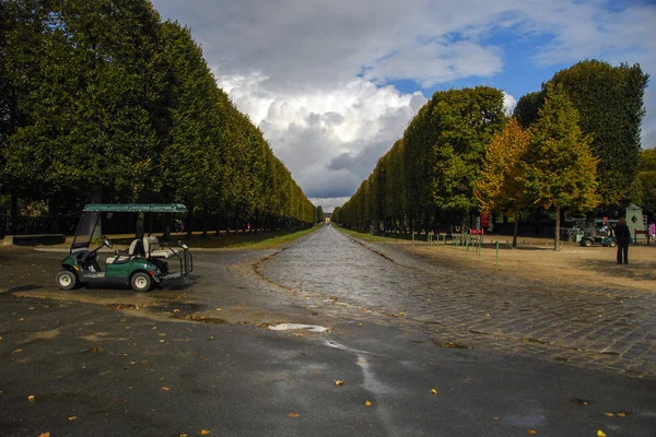 Linii rzeźbione drzewa i elektryczny wózek wzdłuż ścieżki w Versailles ogrody, Paryż, Francja — Zdjęcie stockowe