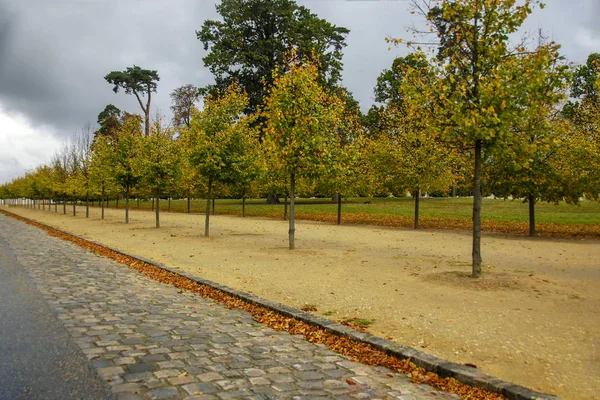 Linea di alberi autunnali lungo il sentiero nei giardini di Versailles, Parigi, Francia — Foto Stock