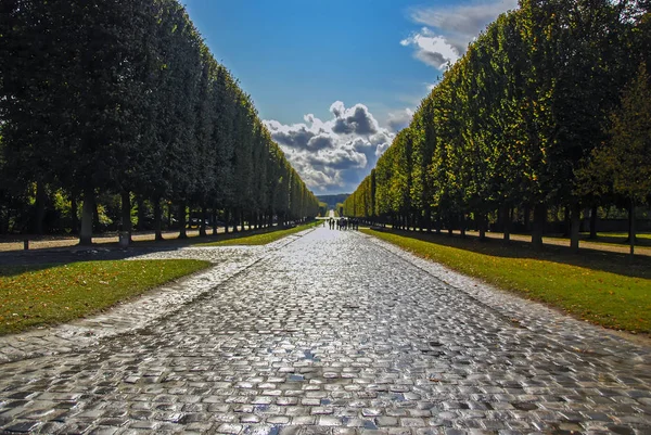 Linha de árvores esculpidas ao longo do caminho nos jardins de Versalhes, Paris, França — Fotografia de Stock