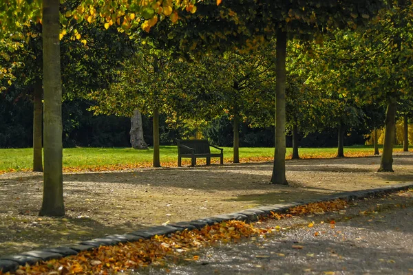 Vecchia panchina vintage tra gli alberi a Versailles, Parigi — Foto Stock