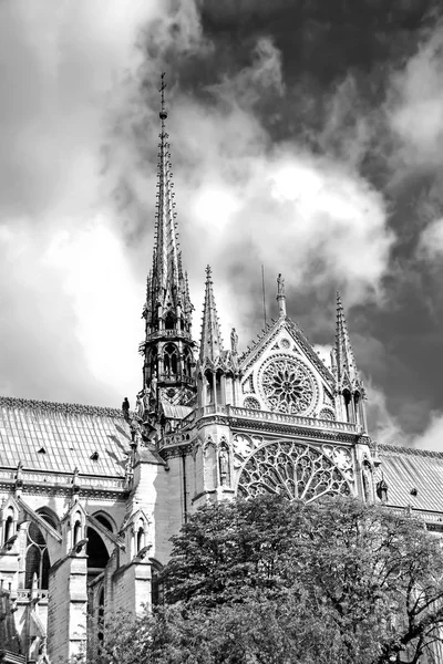Notre Dame de Paris, situat de-a lungul râului Sena, în Paris, Franța fotografie alb-negru — Fotografie, imagine de stoc