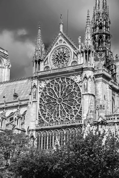 Notre Dame de Paris situado a lo largo del río Sena en París, Francia fotografía en blanco y negro —  Fotos de Stock