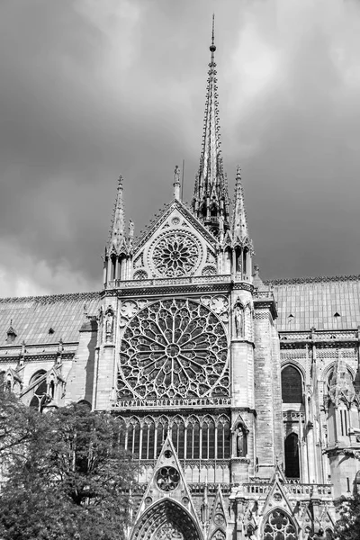 Notre Dame de Paris ligger längs floden Seine i Paris, Frankrike svartvitt fotografi — Stockfoto