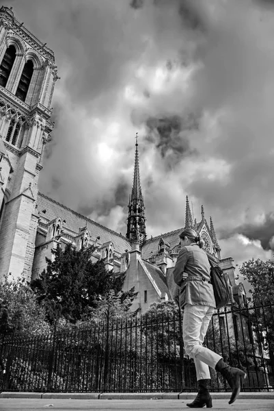 Notre Dame de Paris ligger längs floden Seine i Paris, Frankrike — Stockfoto