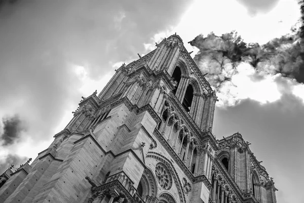 Notre Dame de Paris ligger längs floden Seine i Paris, Frankrike — Stockfoto