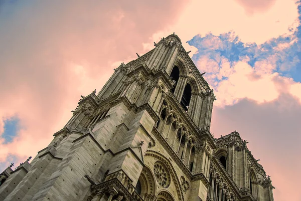 Notre Dame de Paris ligger längs floden Seine i Paris, Frankrike — Stockfoto