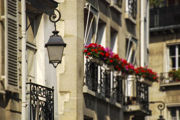 Lanterne vintage et détail du bâtiment avec des fleurs sur fond flou à Paris, France — Photo