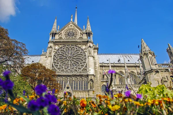 Notre Dame de Paris situado a lo largo del río Sena en París, Francia. Vista de ángulo bajo —  Fotos de Stock