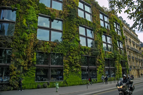 Paris, Francja - 24 września 2008: Musee du Quay Branly - zielony budynek z dużą zieloną ścianą — Zdjęcie stockowe