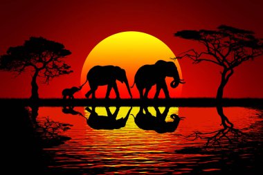 fil ailesi Afrika'da sakin gölde yansıyan silüeti Güzellik