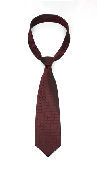 Стильный связанный темно-винный абстрактный галстук на белом фоне — стоковое фото