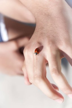 Kırmızı uğur böceği bir çocuk eli yürüyüş güzel fotoğraf