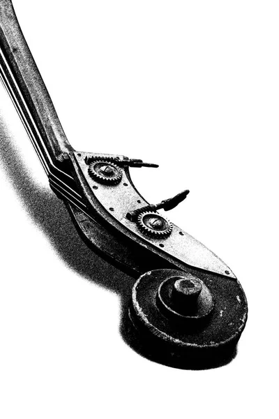 Close up fingerboard de contrabass isolado em fundo branco com sombra em preto e branco com efeito de desenho a lápis — Fotografia de Stock