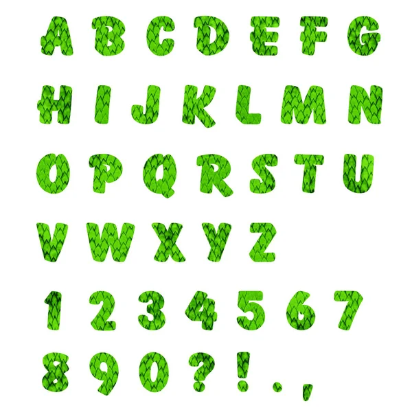 English alphabet and characters made from green leaves isolated on white background. Original font for your text — Stock Photo, Image