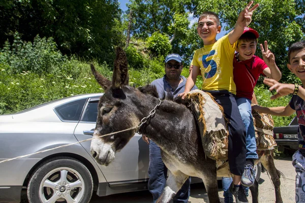 Karahunj, Arménie - 01 juillet 2017 : Garçons joyeux chevauchant un âne pendant le festival Mulberry dans le village de Karahunj, Arménie — Photo