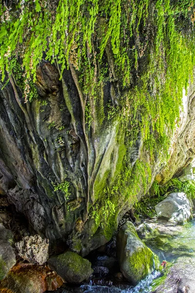 Magnificent rocks covered with beautiful green plants at Vorotan river canyon near Devil's Bridge,Halidzor village, Armenia. vertical view — Stock Photo, Image