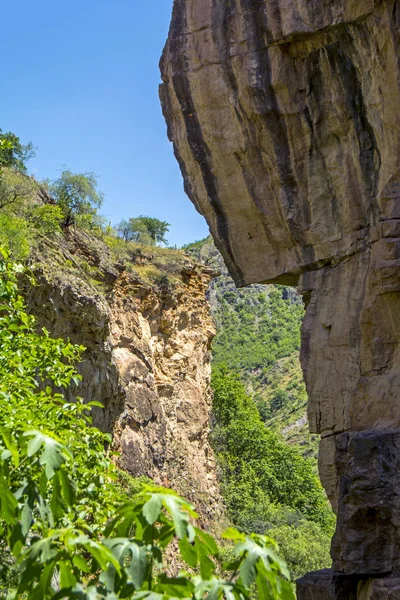 Magníficas rocas cubiertas de hermosas plantas verdes en el cañón del río Vorotan cerca del Puente del Diablo, pueblo de Halidzor, Armenia. vista vertical —  Fotos de Stock