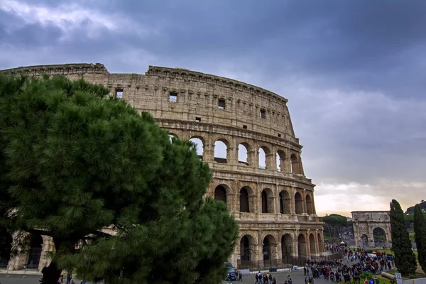 Albero di conifera verde del Colosseo e dell'Arco di Costantino, simboli iconici della Roma imperiale. È una delle attrazioni turistiche più popolari di Roma, Italia — Foto Stock