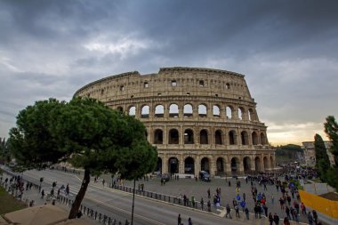 Yeşil kozalaklı ağaç Colosseum ve Arch Konstantin - İmparatorluk Roma ikonik bir sembolü. Roma, İtalya Roma'nın en popüler turistik biridir
