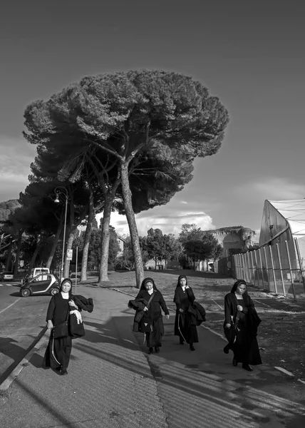 Rome, Italië - 18 November 2016: vier nonnen in traditionele jurken wandelingen op straat met pijnbomen op achtergrond. Zwart-wit fotografie — Stockfoto