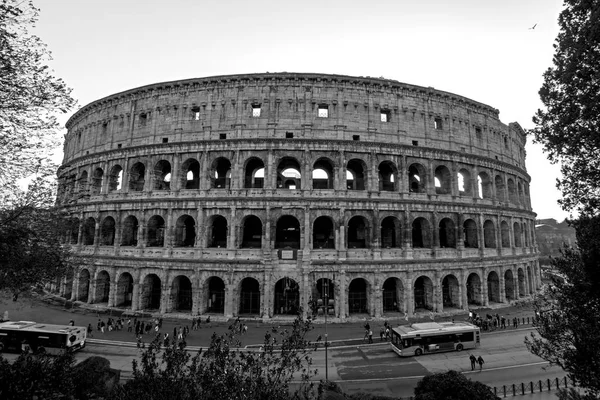 Roma, Itália - 18 de novembro de 2016: vista do Coliseu com ônibus. Fotografia em preto e branco — Fotografia de Stock