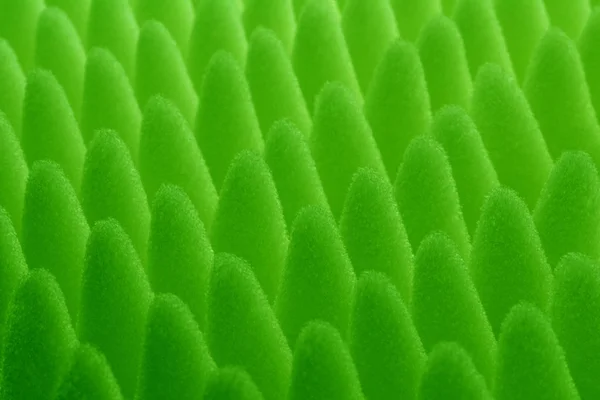 Närbild av gröna knolls svamp upplyst av motljus. Abstrakta makrofotografering av korrugerad polyuretan ser ut havsanemon — Stockfoto