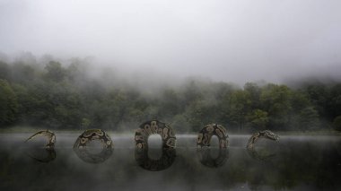 Giant python in jungle lake covered with fog. Mysterious frightening scene. Smoke on the water clipart