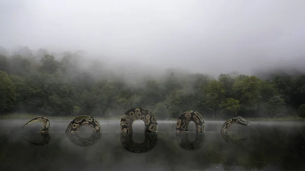 Giant Python Jungle Lake Covered Fog Mysterious Frightening Scene Smoke — Stock Photo, Image