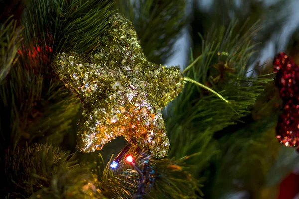 Étoile Noël Avec Brindille Verte Sur Fond Flou — Photo