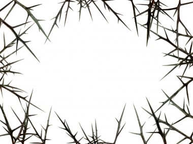 natural frame from sharp thorns isolated on white background. free space for text clipart