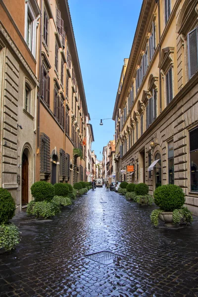 Roma Novembre 2016 Paesaggio Urbano Verticale Simmetrico Con Stretto Vicolo — Foto Stock