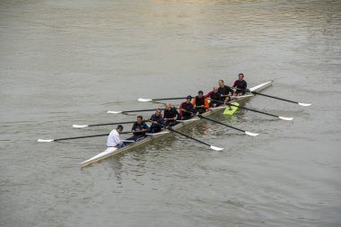 Rome, İtalya - 19 Kasım 2016: erkek takım yarışı Tiber Nehri üzerinde kürek. Ekip çalışması kavramı. Güçlü iş kavramsal geçmişi
