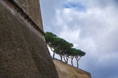 Vatikan üstündeki yeşil kozalaklı ağaçlar İtalya ile büyük antik tuğla duvarına düşük açılı görünüş
