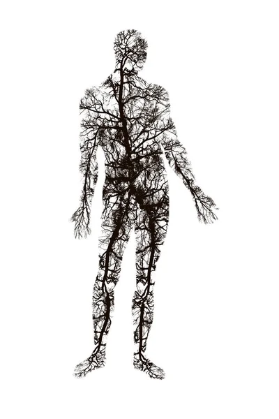 Abstract Illustration Tree Branches Silhouettes Shape Human Body Isolated White — Stock Photo, Image