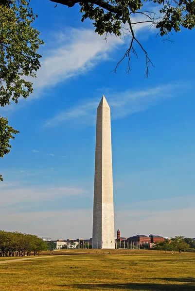 Monumento George Washington Través Árboles Verdes Washington — Foto de Stock