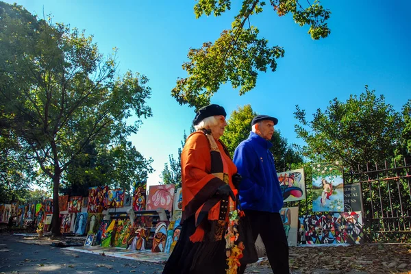2007年10月28日 老夫妇走在一幅五颜六色的油画背景上 在阳光明媚的秋季在公园里出售 — 图库照片