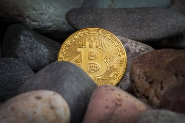 Altın bitcoin sikke taşlar arasında sıkışmış. Cryptocurrency incelemesi kavramı, seçici odak.