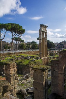 Rome, İtalya - 20 Kasım 2016: Roma Forumu (Foro Romano) Roma, İtalya. Roma Forumu, Avrupa'nın başlıca turistik biridir. Doğal kalıntıları Roma Forumu