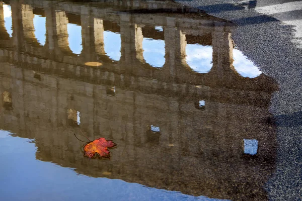 Koloseum Nebo Kolosea Odráží Louži Červeným Podzimní Javorový List Abstraktní — Stock fotografie