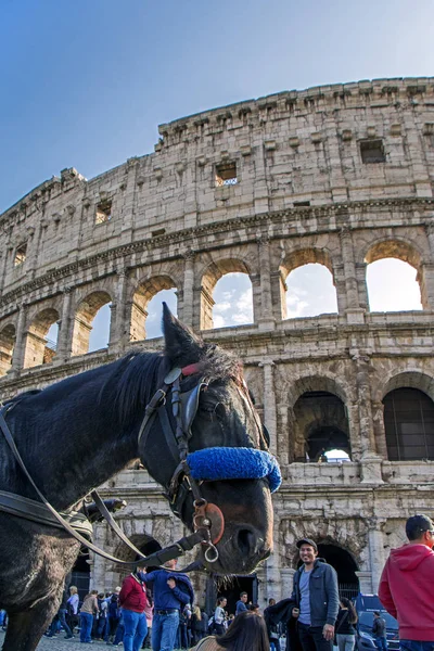 Рим Италия Ноября 2016 Коляска Боттицелла Крупным Планом Итальянском Языке — стоковое фото