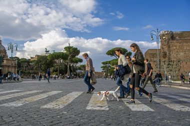 Roma, İtalya - 20 Kasım 2016: Bir aile ile küçük köpek Via dei Fori Imperiali caddenin kesiştiği