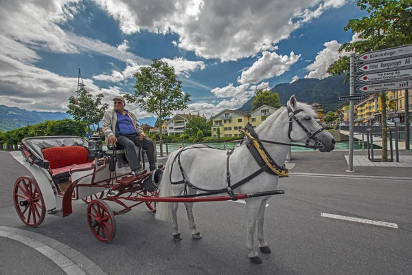 Interlaken Suiza Junio 2015 Escena Gran Angular Con Cochero Sentado — Foto de Stock