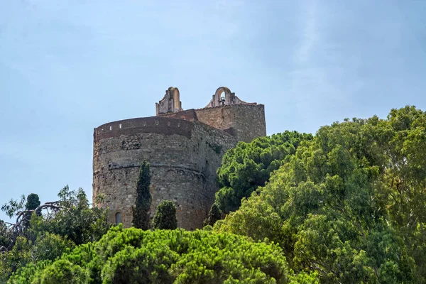 Bellissimo Paesaggio Con Alberi Verdi Cielo Blu Antico Castello Sulla — Foto stock gratuita