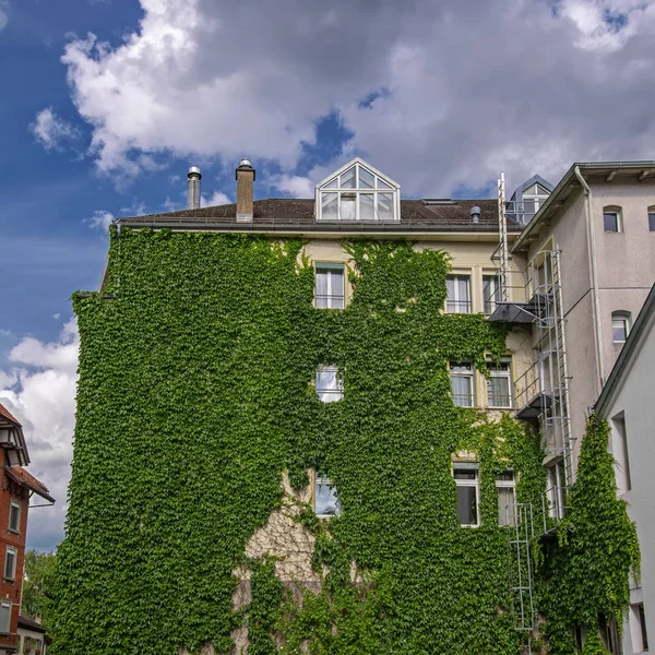 Interlaken, İsviçre 'de dramatik bulutlu gökyüzünün altında sarmaşık yetiştirilmiş bir bina. Doğal termal yalıtım ve havalandırma